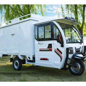 Adult Brands Motorcycle Electric-Tricycle-China Freight Engineering Long Range Plant Stand Refrigerated 250 Electric Tricycle
