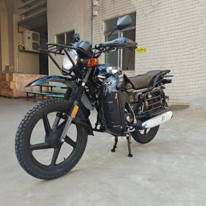 Thunder on Two Wheels: Classic Engine Power Reimagined