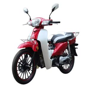 6. Roar of the Road: High-Performance Gasoline Motorcycles