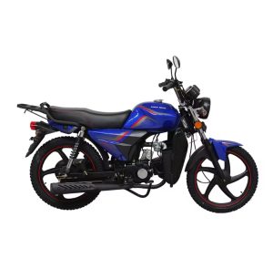 Practical Power: A Guide to Owning Gasoline Motorcycles